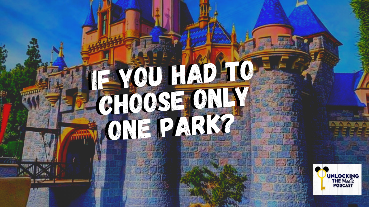 choosing-only-one-disney-park-forever